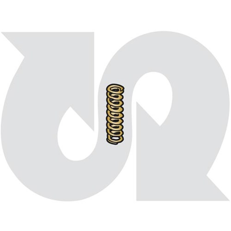 Adjuster Spring