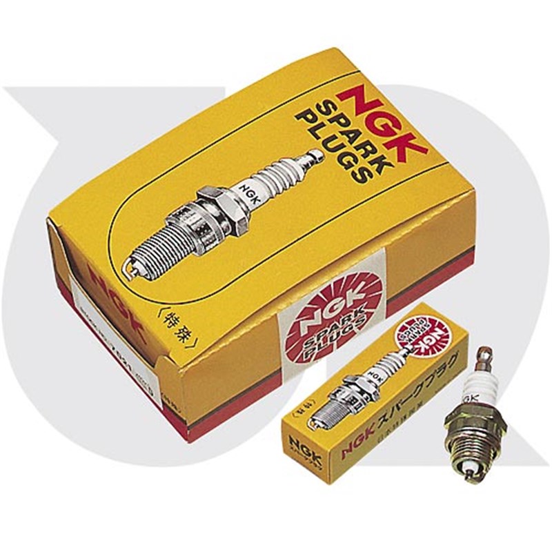 BR2LM NGK Spark Plug (Pk 10)