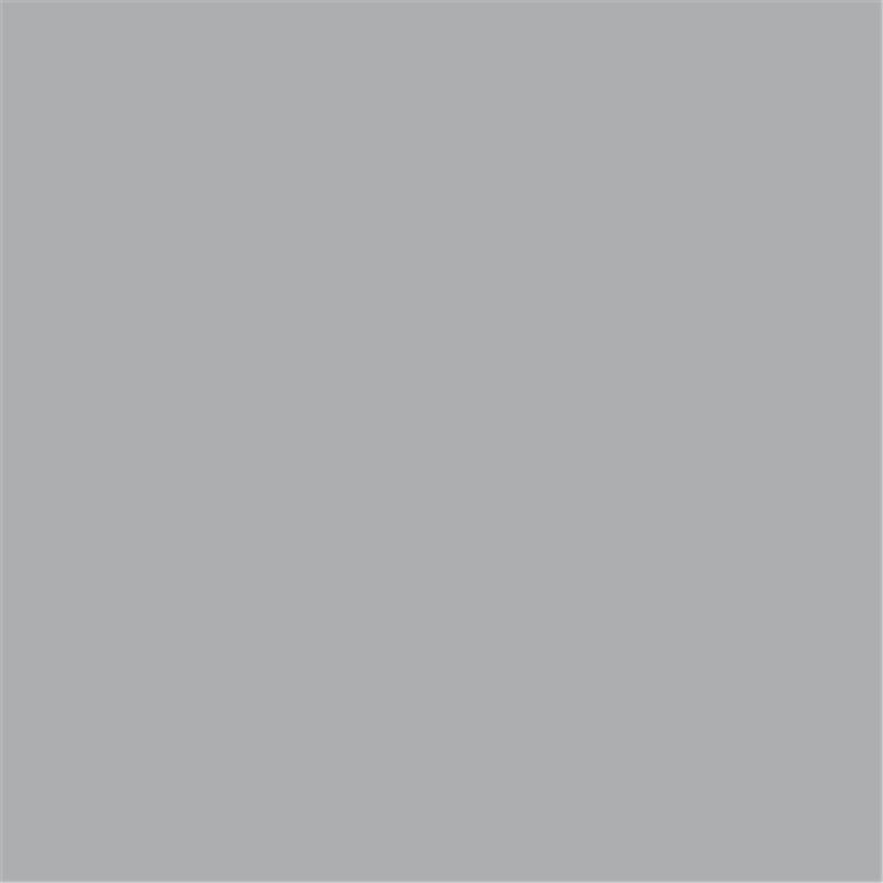 Electrobond Zinc Galv Primer/Finish, 400ml Aerosol