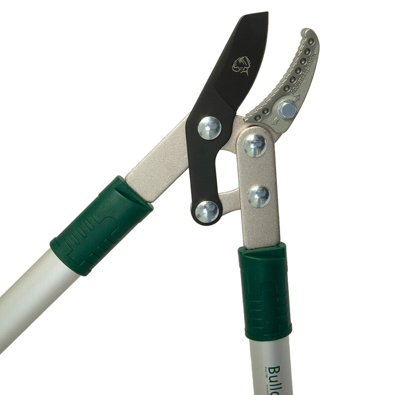 Bulldog Premier 29