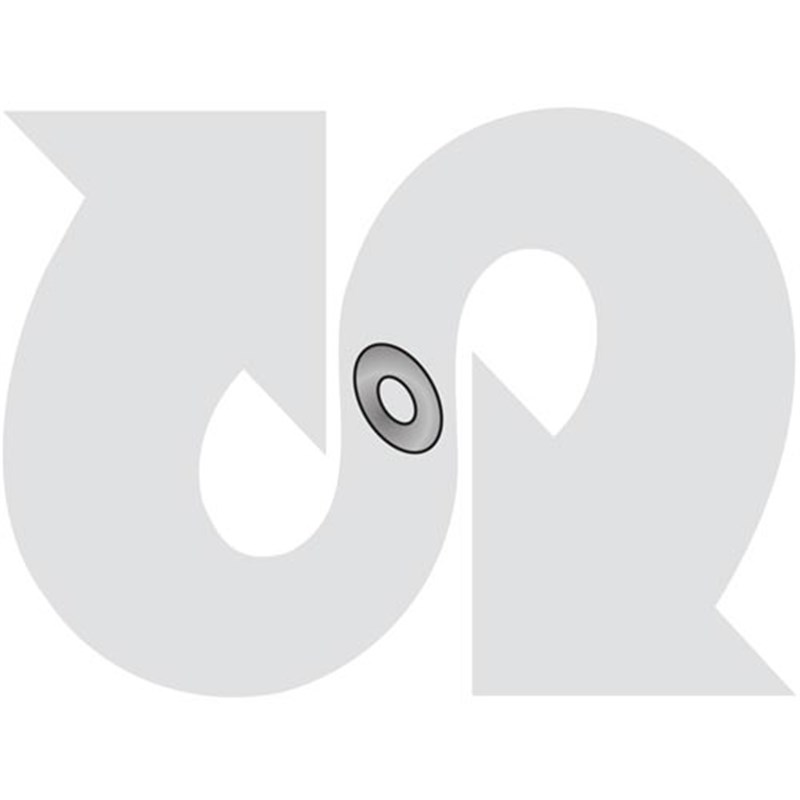 Shim Washer