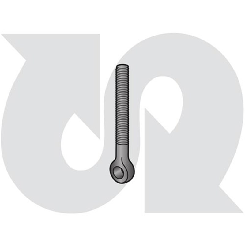 Swing Bolt