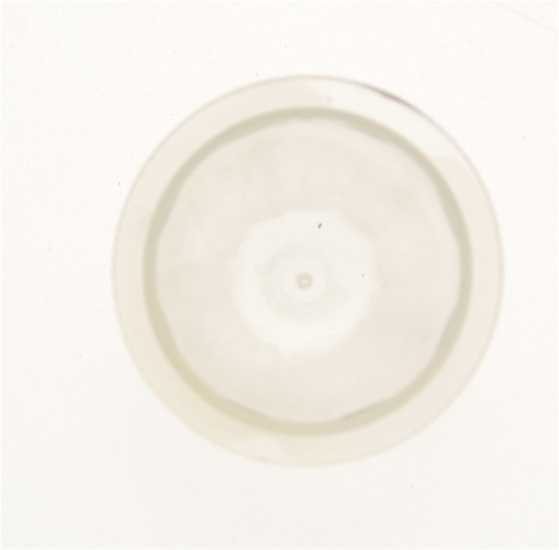 Primer Bulb/ Pump - (Non-Gen)Walbro OEM: 188-11