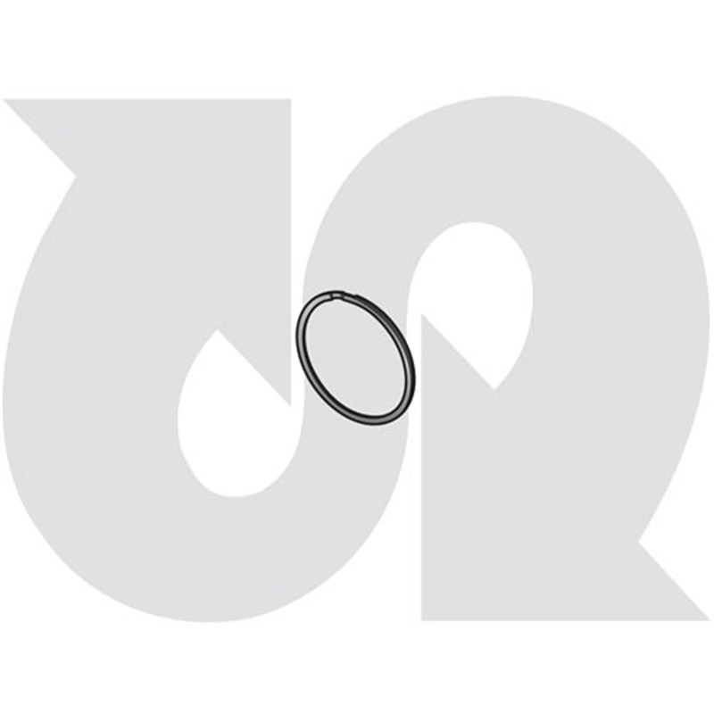 Seal Ring