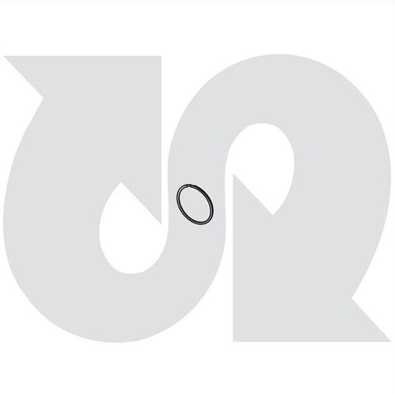 Seal Ring